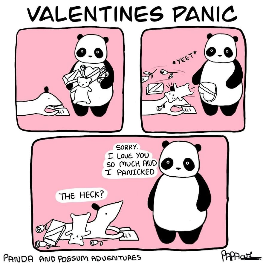 Panda And Possum Adventures- Webcomic