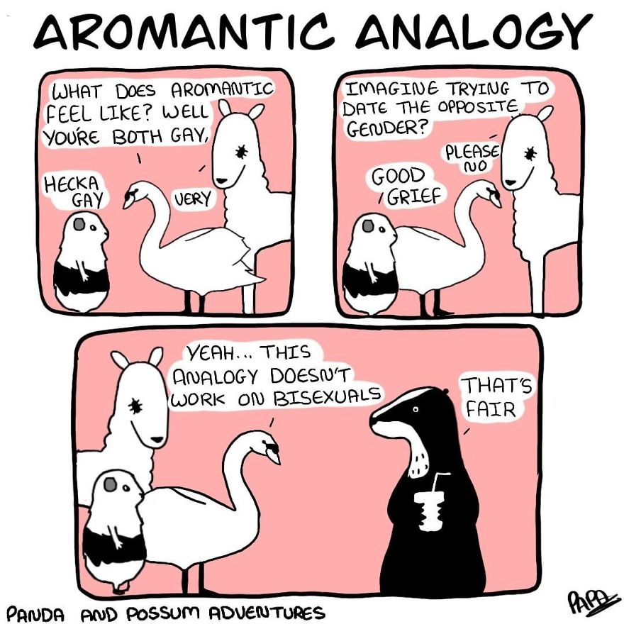 Panda And Possum Adventures- Webcomic