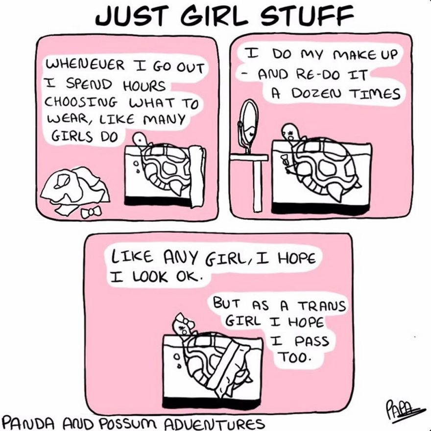 Panda And Possum Adventures- Webcomic