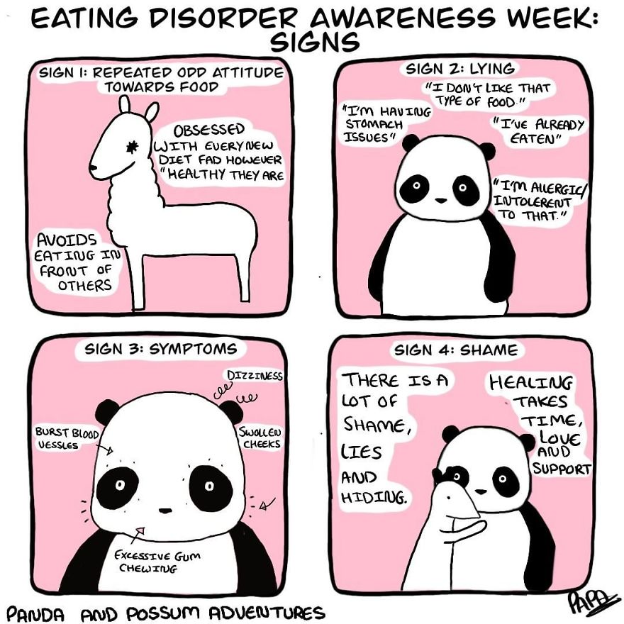 Panda And Possum Adventures- Webcomic