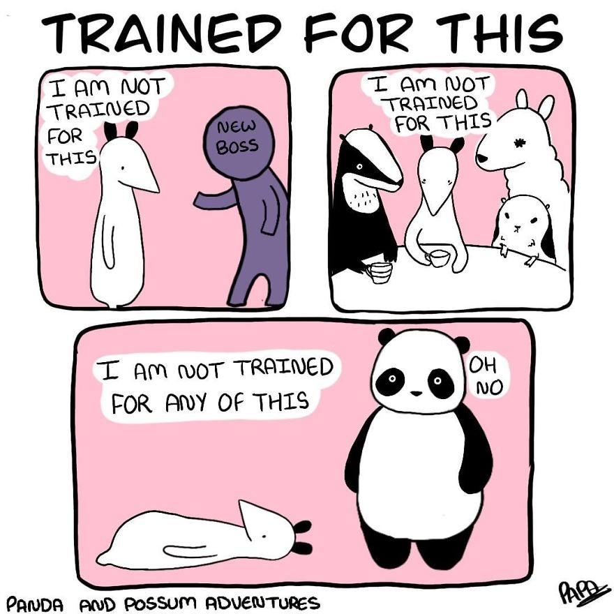 Panda And Possum Adventures- Webcomic