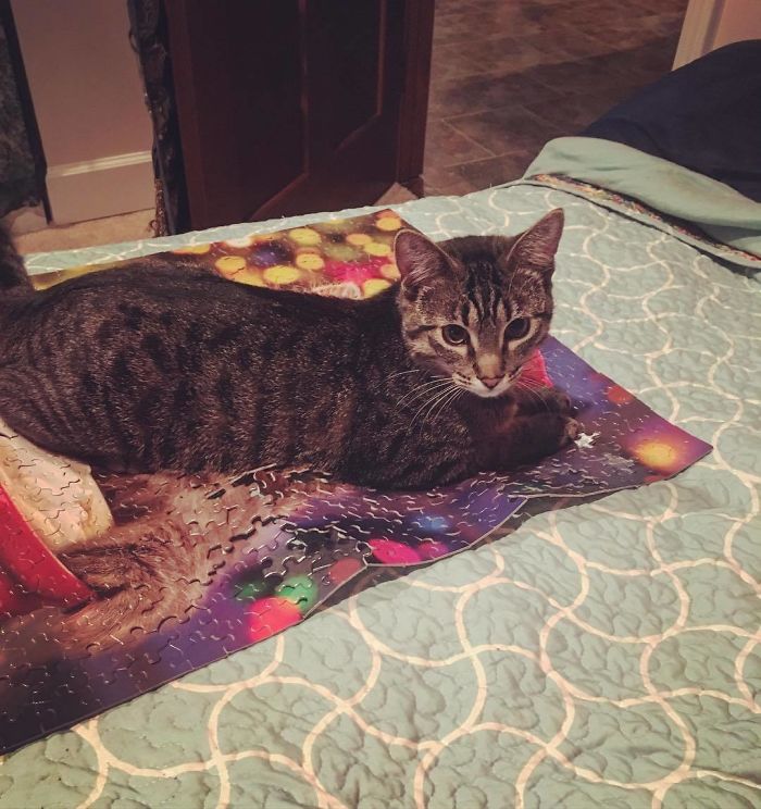 He Couldn't Help Himself