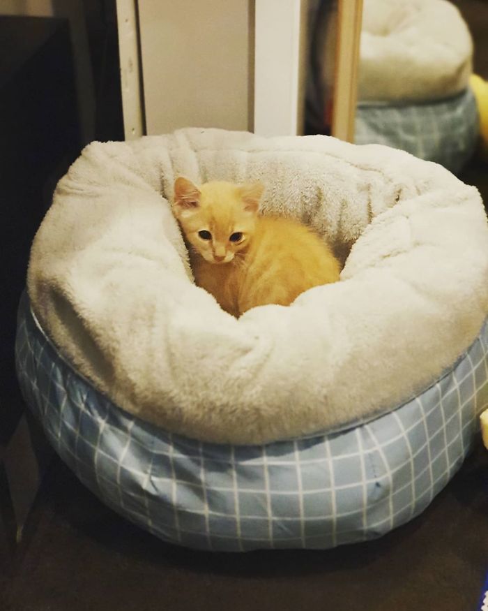 I Think I Like It Here Already