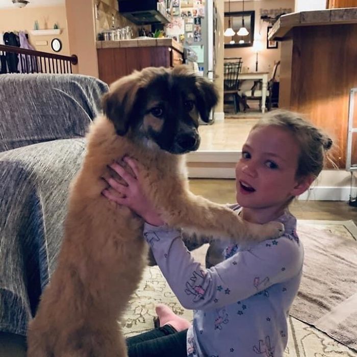 Yeti! He Has Found His Perfect Home Complete With Children To Call His Own