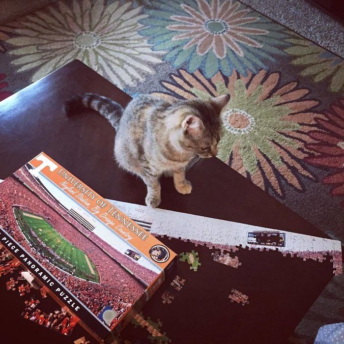 Aww Mom, It’s So Cute That You Think This Puzzle Will Still Be In Tact When You Get Home