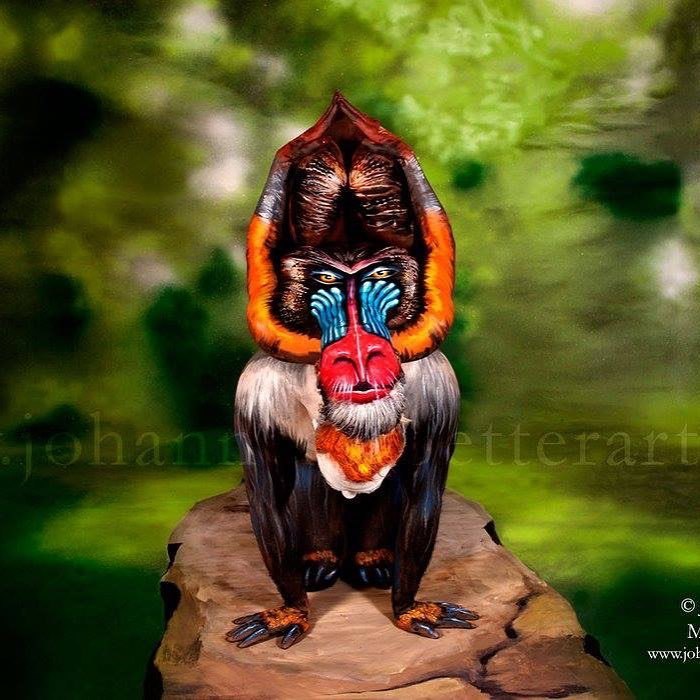 This Butterfly Is Actually A Woman Whose Entire Body Was Painted By Johannes Stötter This Butterfly Is Actually A Woman Whose Entire Body Was Painted By Johannes Stötter