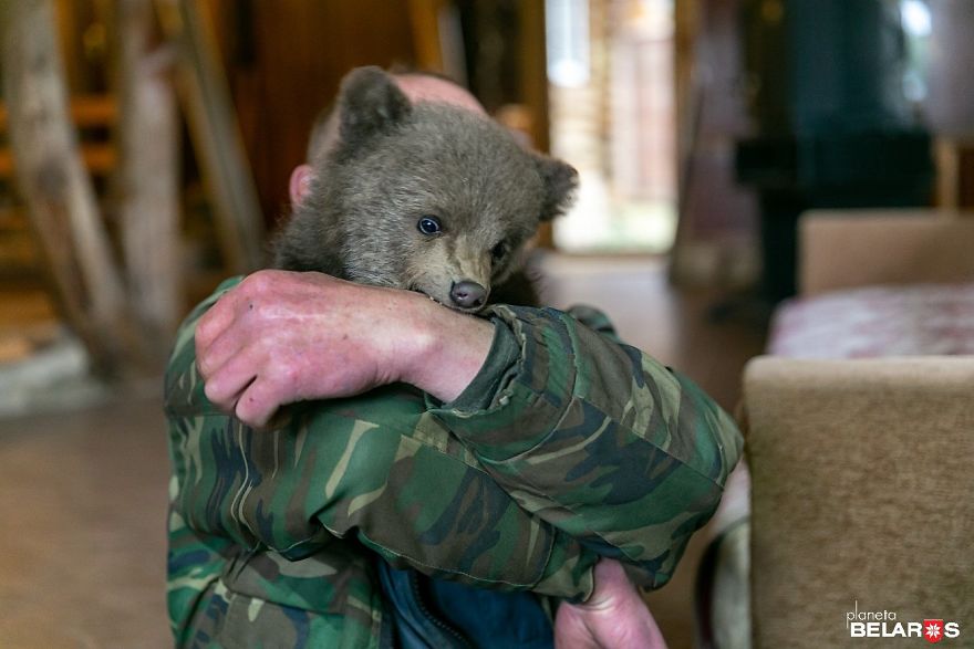Bear Cub Wanders Onto A Farm And Authorities Suggest Putting Her To Sleep But This Man Decides To Raise Her Bear Cub Wanders Onto A Farm And Authorities Suggest Putting Her To Sleep But This Man Decides To Raise Her