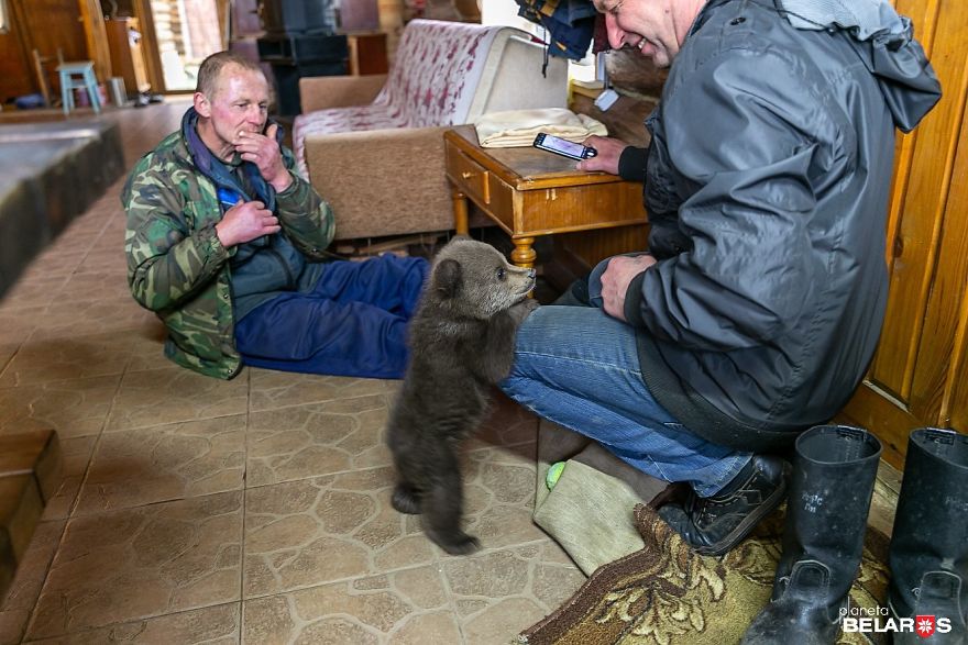 Bear Cub Wanders Onto A Farm And Authorities Suggest Putting Her To Sleep But This Man Decides To Raise Her Bear Cub Wanders Onto A Farm And Authorities Suggest Putting Her To Sleep But This Man Decides To Raise Her