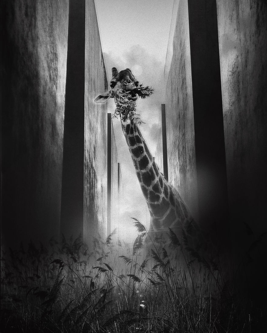 "Beyond": My Take On What The World Will Look Like If Quarantine Doesn't End "Beyond": My Take On What The World Will Look Like If Quarantine Doesn't End