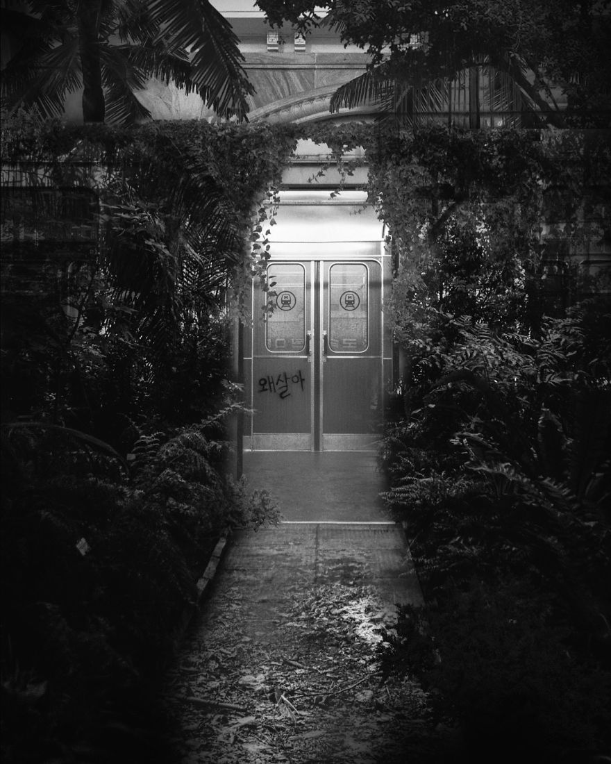 "Beyond": My Take On What The World Will Look Like If Quarantine Doesn't End