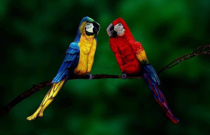 This Butterfly Is Actually A Woman Whose Entire Body Was Painted By Johannes Stötter This Butterfly Is Actually A Woman Whose Entire Body Was Painted By Johannes Stötter