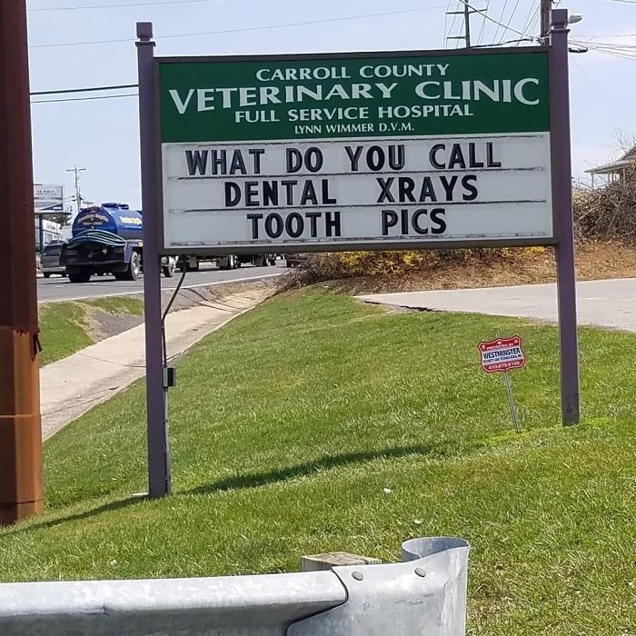 Funny-Carroll-County-Veterinary-Clinic-Signs