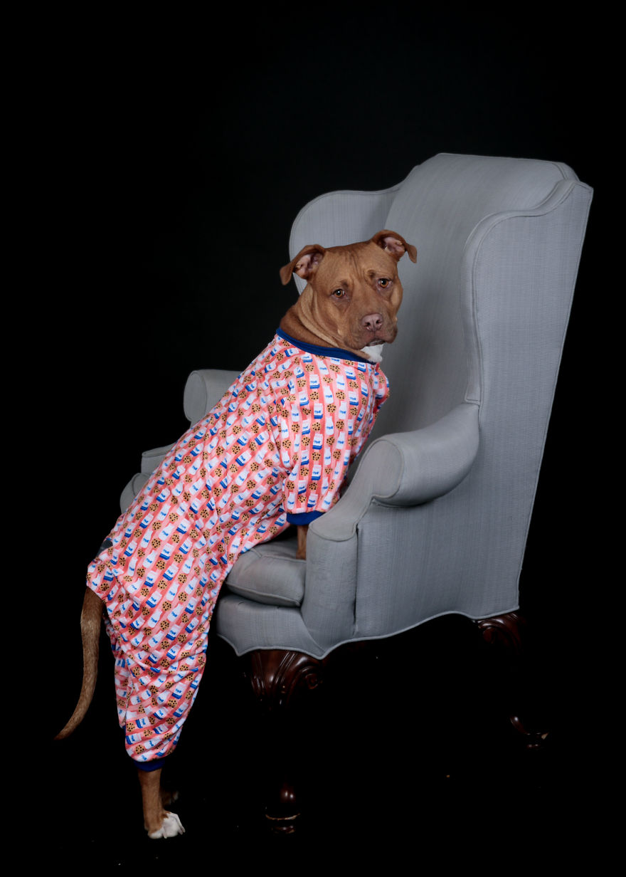 Pitties And Pj's Pitties And Pj's
