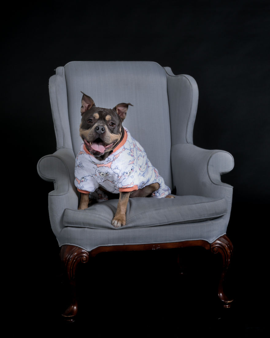 Pitties And Pj's Pitties And Pj's