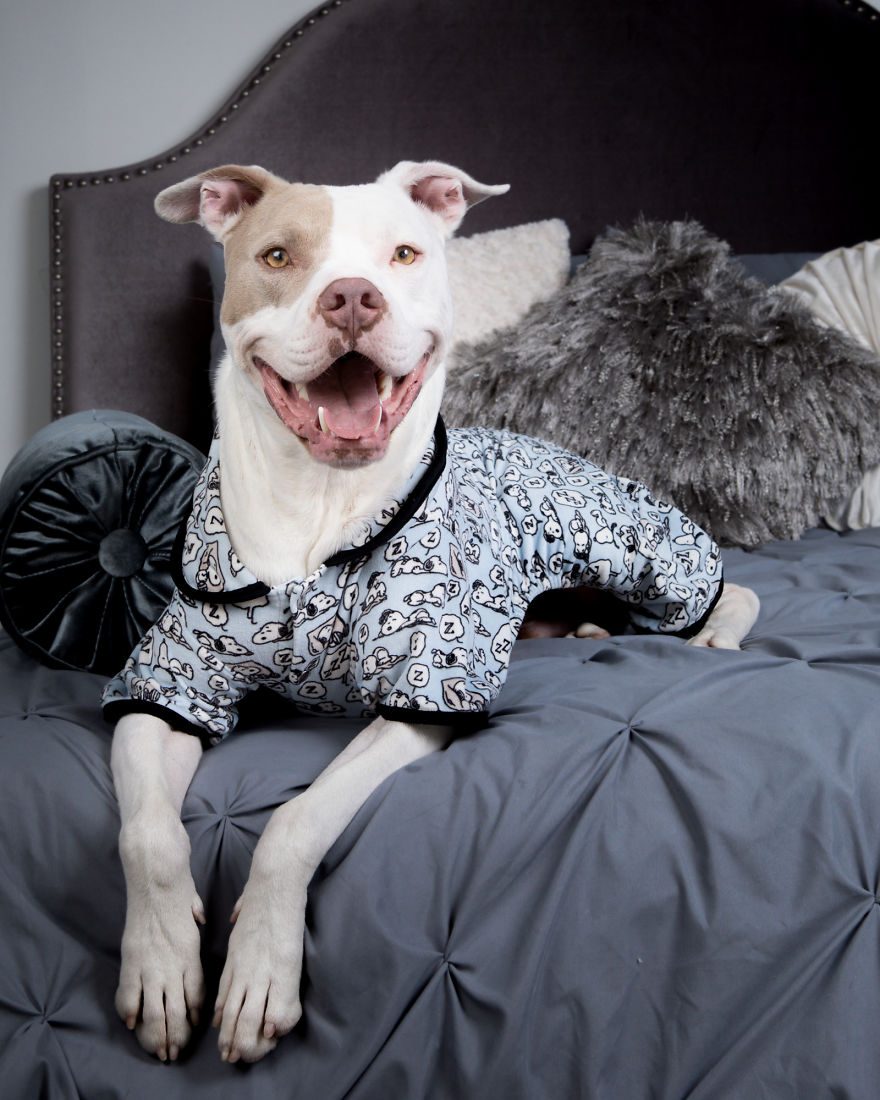 Pitties And Pj's
