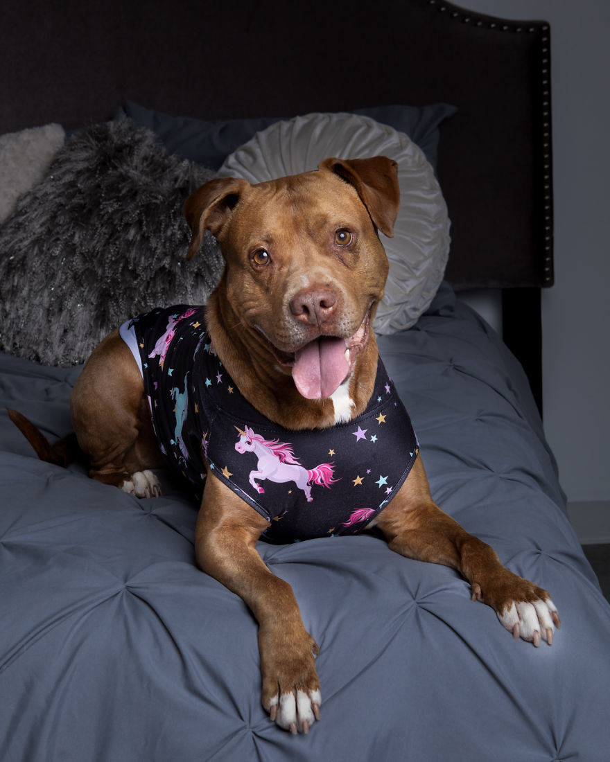 Pitties And Pj's