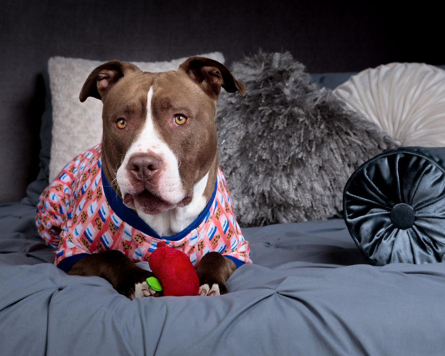 Pitties And Pj's