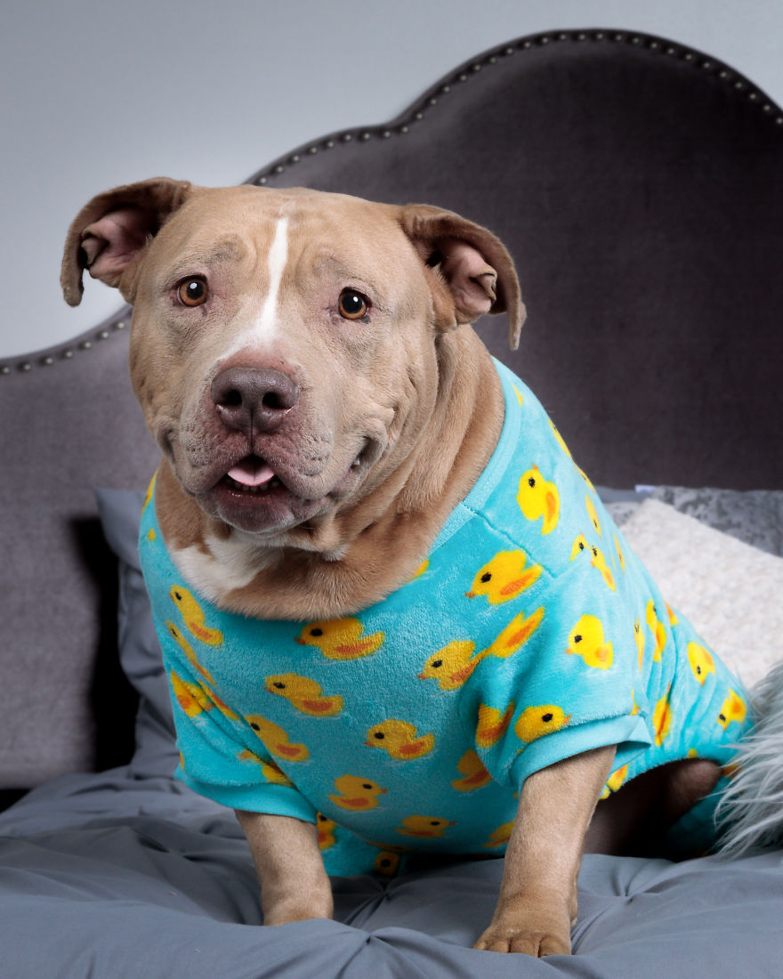 Pitties And Pj's