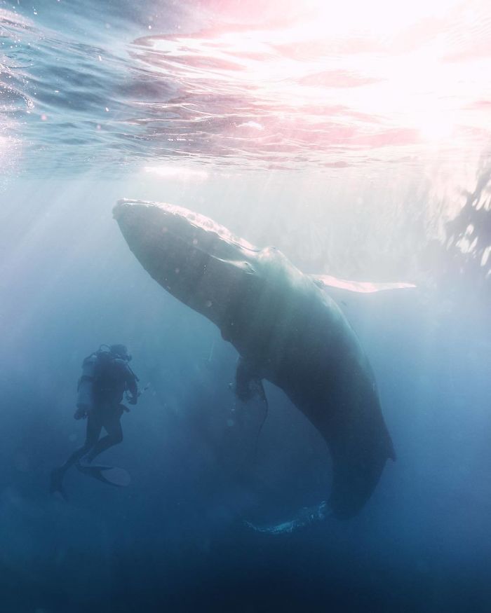 Artist Makes The World Glow In Photoshop