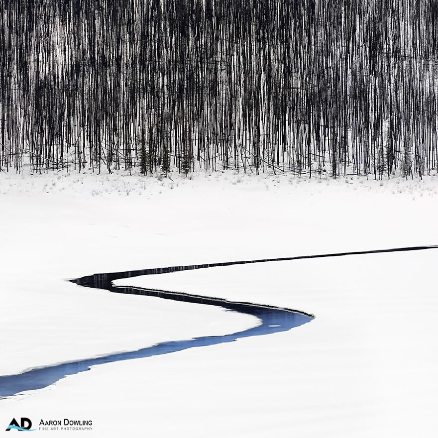Isolation In Nature (Reflecting Our Lives Today) Isolation In Nature (Reflecting Our Lives Today)