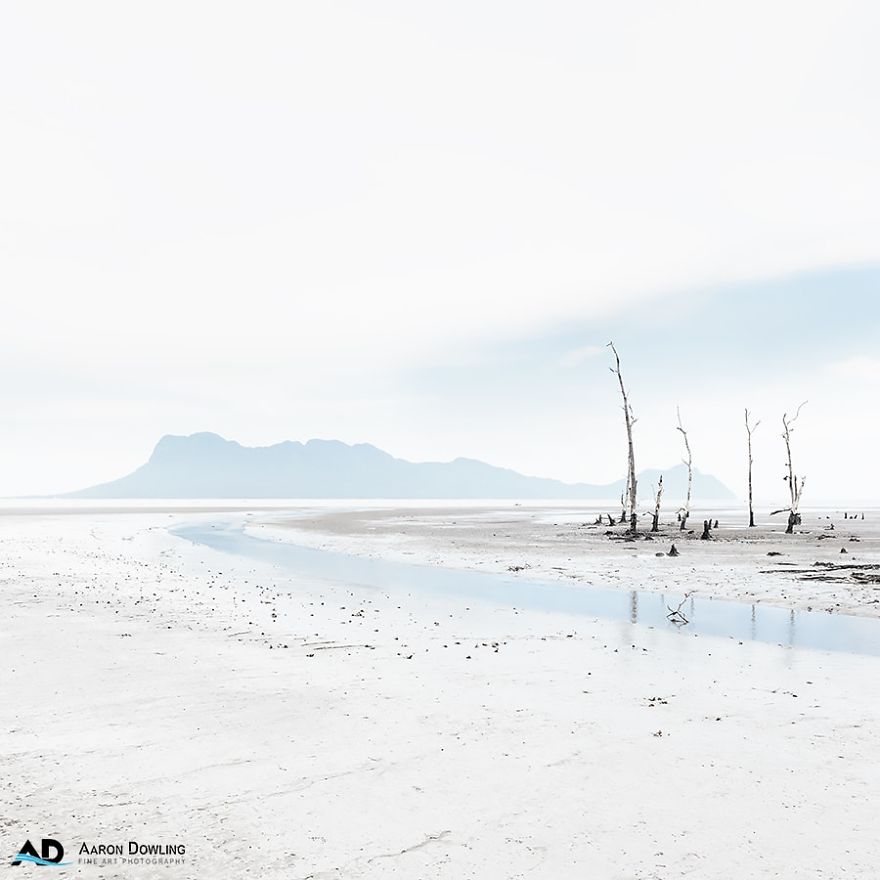 Isolation In Nature (Reflecting Our Lives Today)