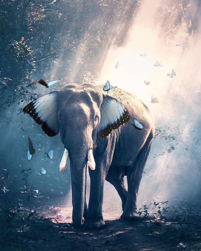 Artist Makes The World Glow In Photoshop