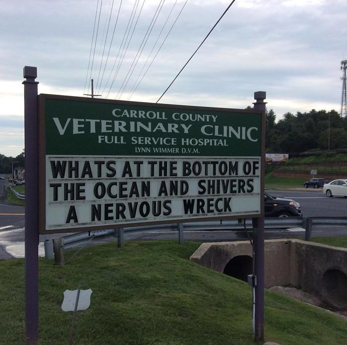 Funny-Carroll-County-Veterinary-Clinic-Signs