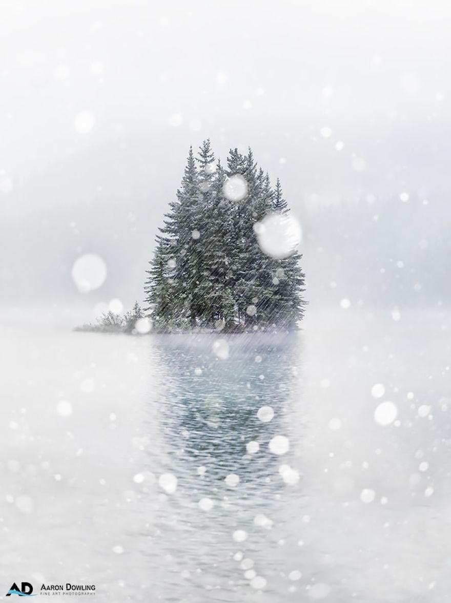 Isolation In Nature (Reflecting Our Lives Today)