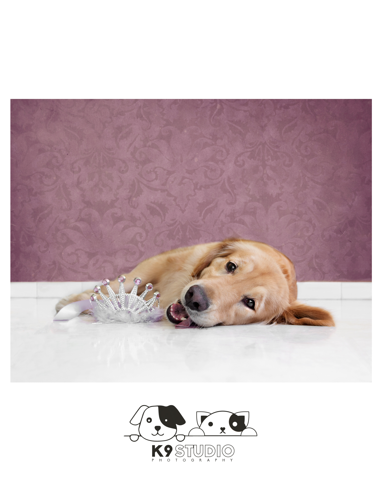 The Royal In The Bark