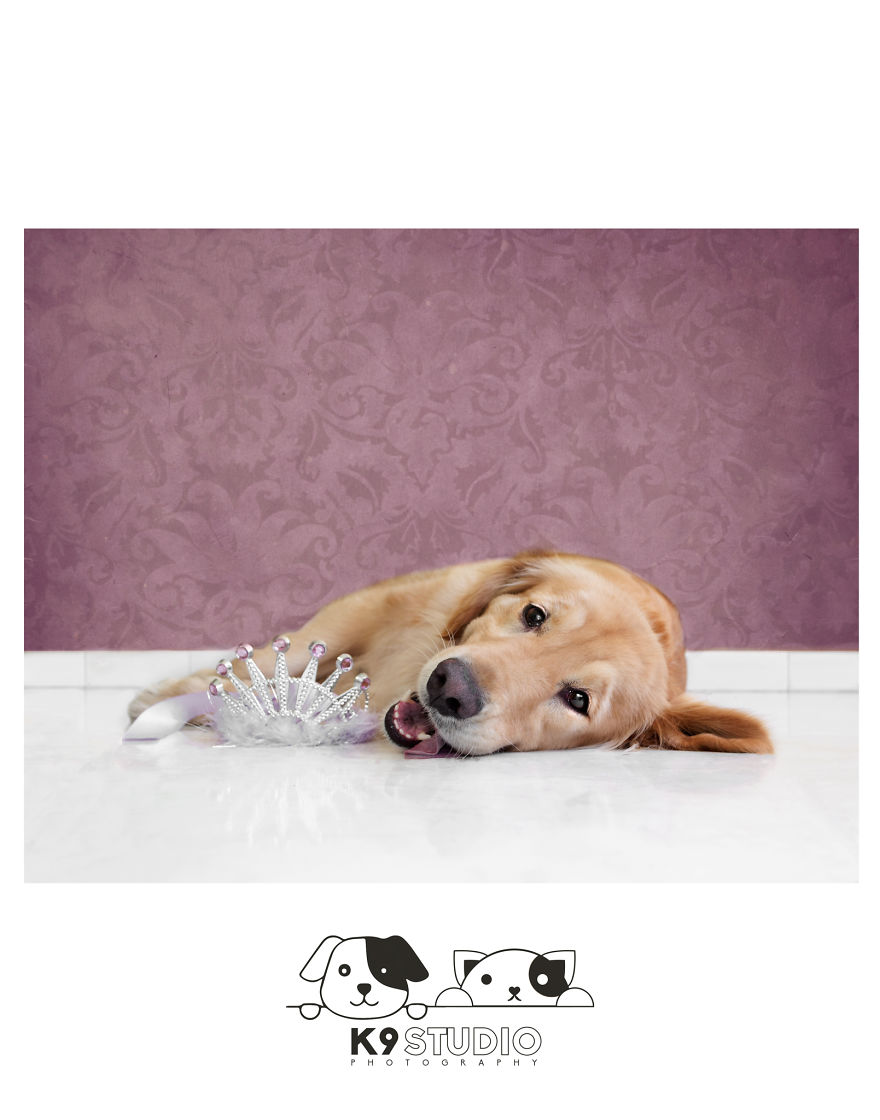 The Royal In The Bark