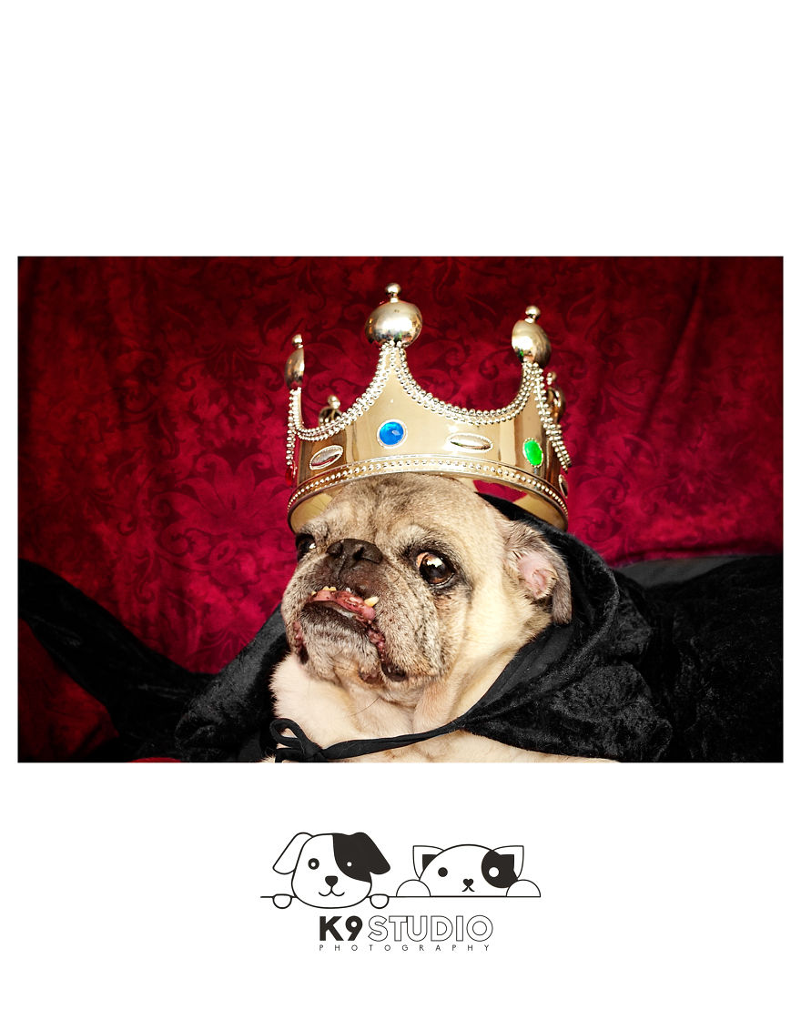 The Royal In The Bark