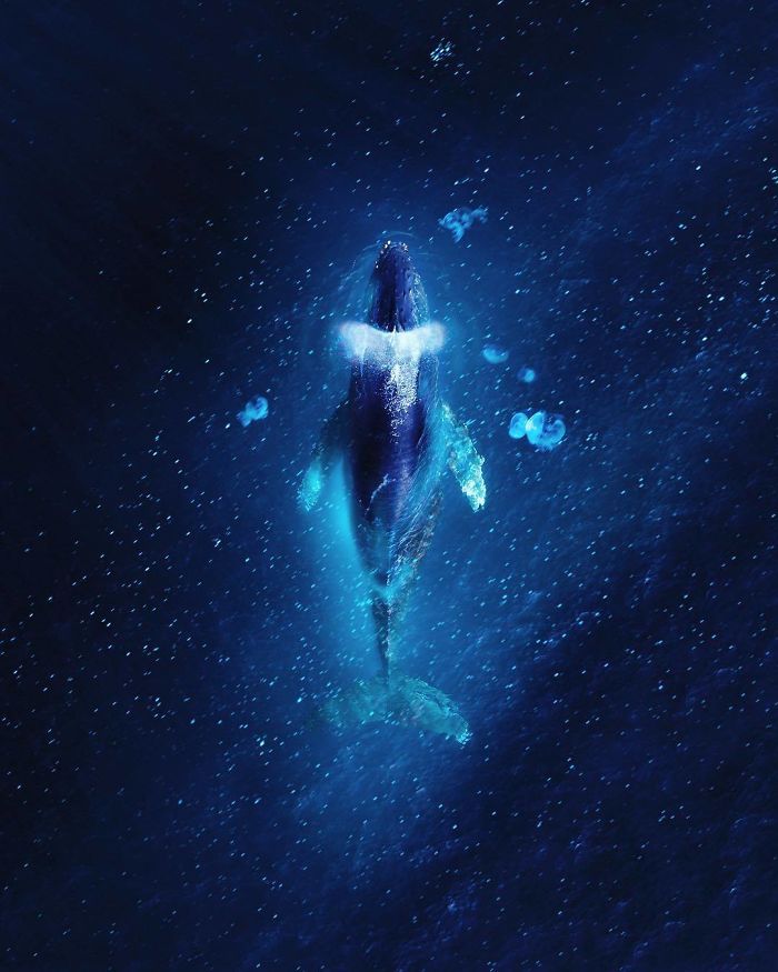 Artist Makes The World Glow In Photoshop