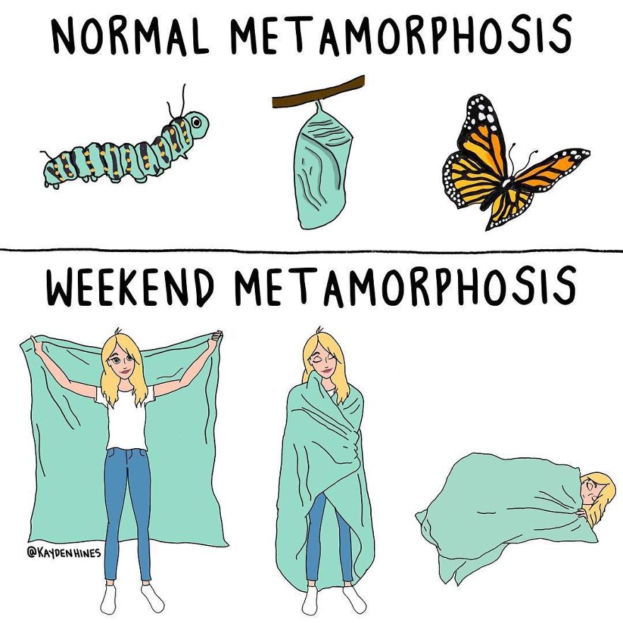 Illustrator Makes Funny Cartoons And Attracts Everyone With His Alter Ego (New Pics)