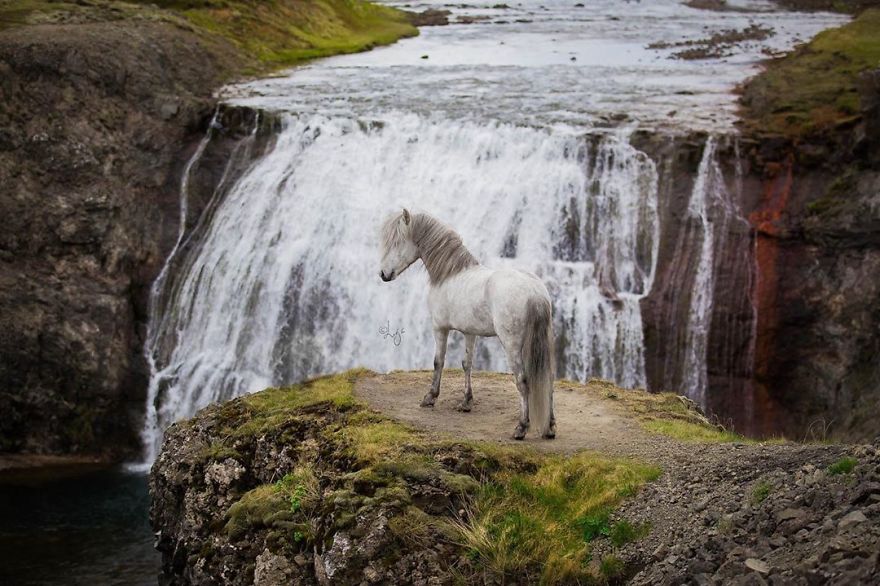 I Photograph Horses In The Breathtaking Icelandic Landscape
