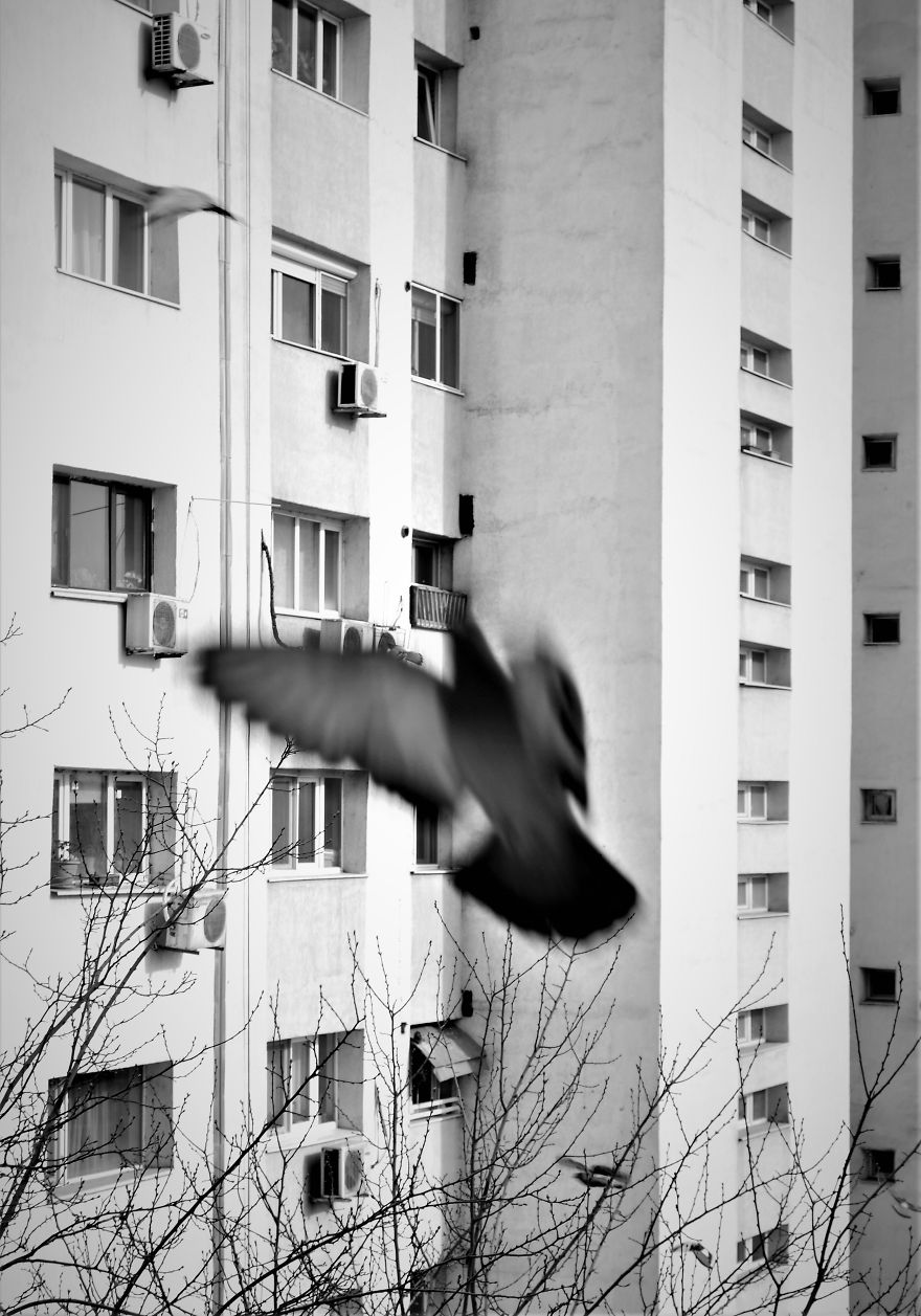 My Camera Is My Perfect Partner In Crime While Staying At Home. My Camera Is My Perfect Partner In Crime While Staying At Home.