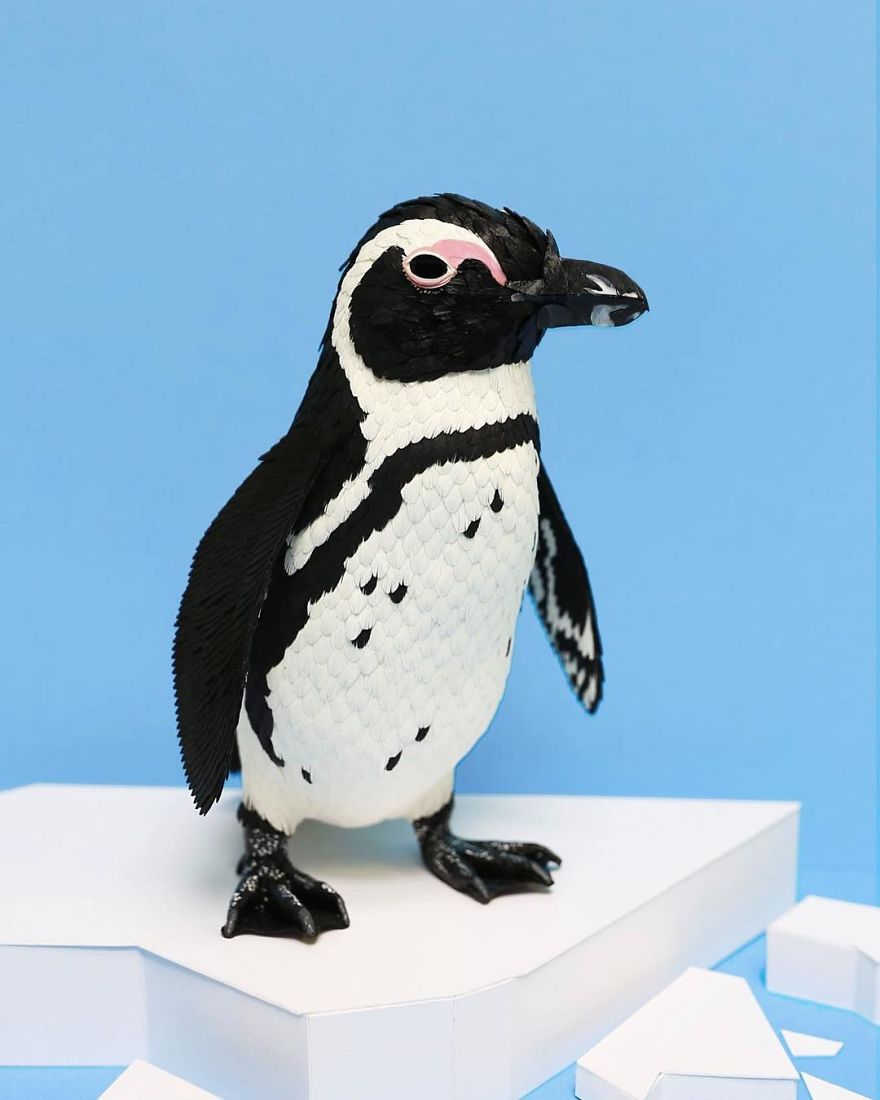 Colombian Artist Makes Unbelievable Paper Birds