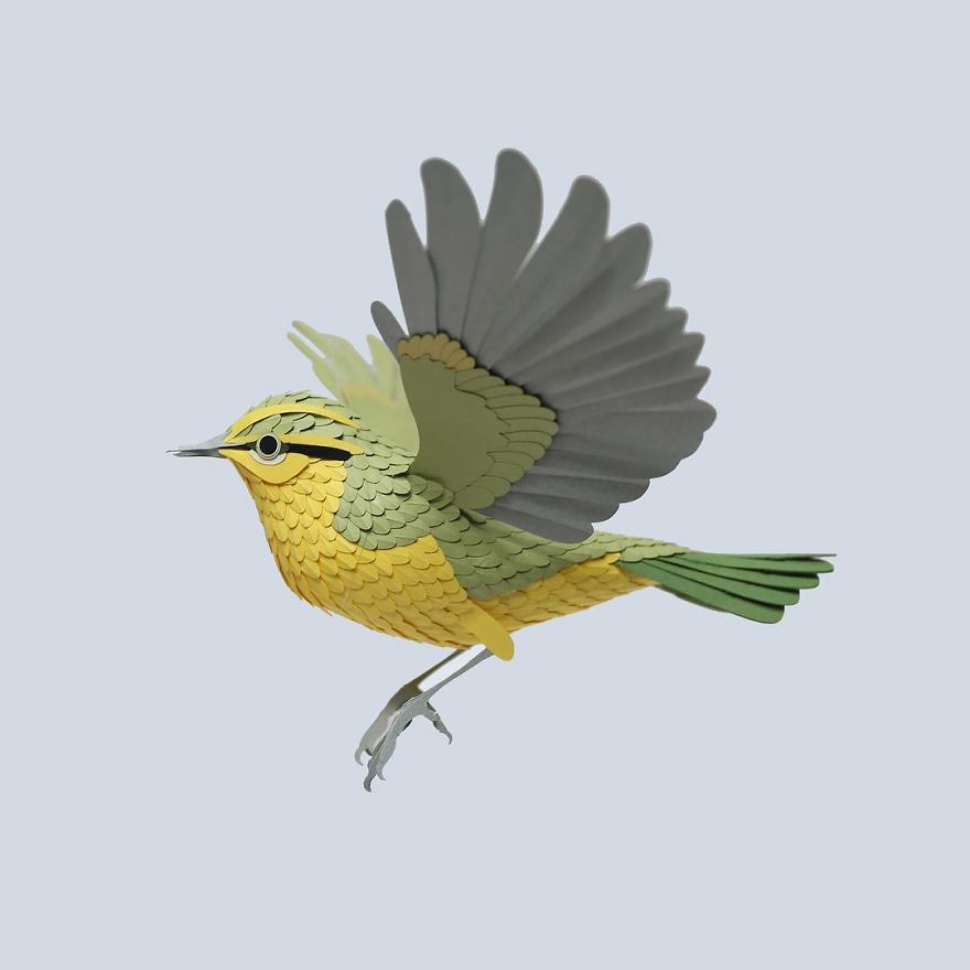 Colombian Artist Makes Unbelievable Paper Birds