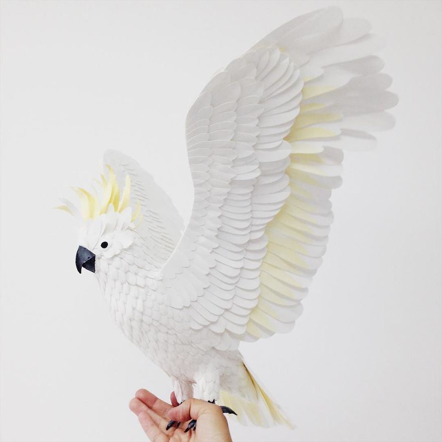 Colombian Artist Makes Unbelievable Paper Birds