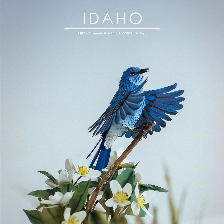 Colombian Artist Makes Unbelievable Paper Birds