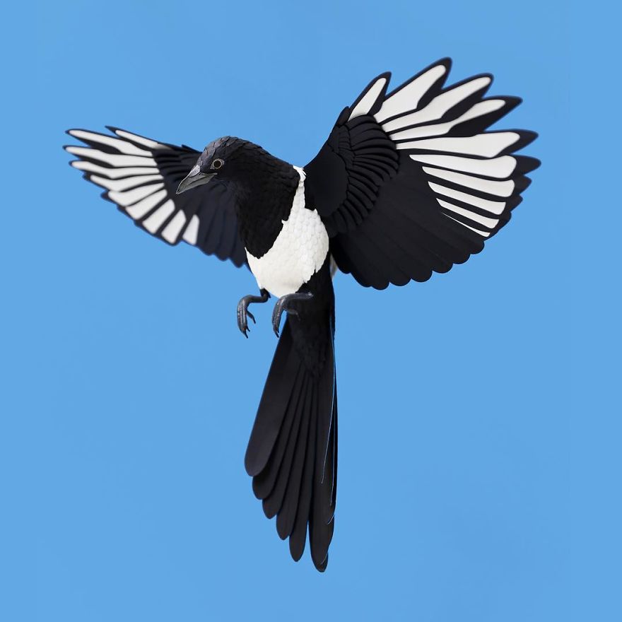 Colombian Artist Makes Unbelievable Paper Birds