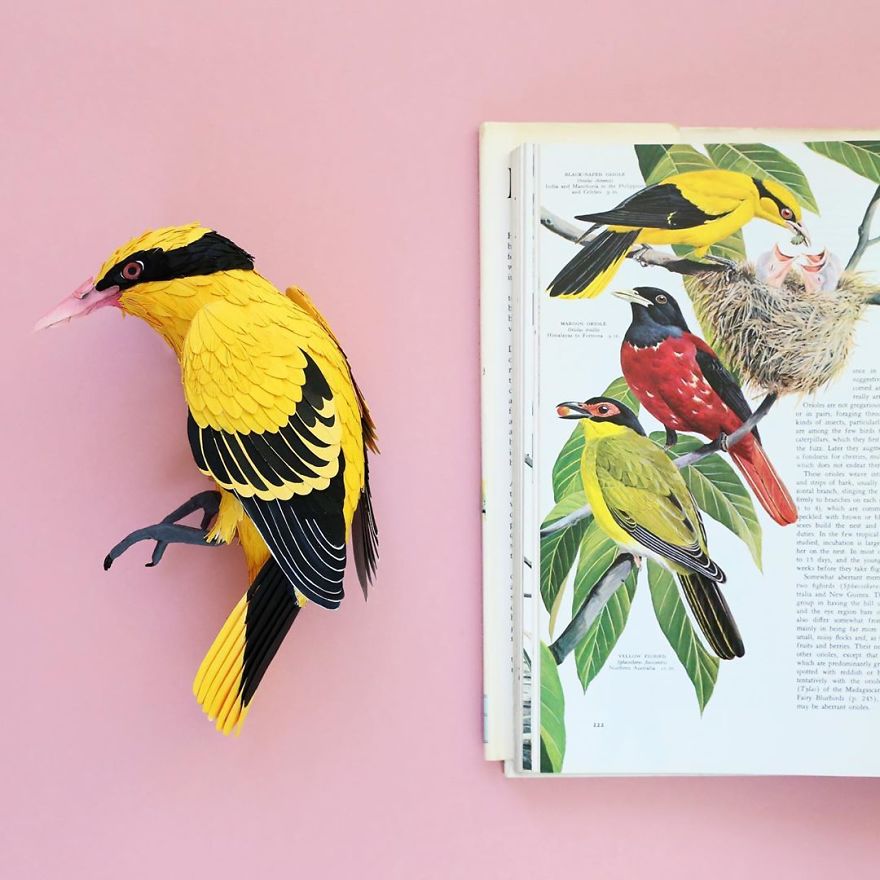 Colombian Artist Makes Unbelievable Paper Birds