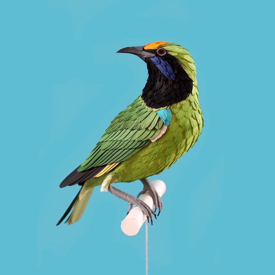 Colombian Artist Makes Unbelievable Paper Birds