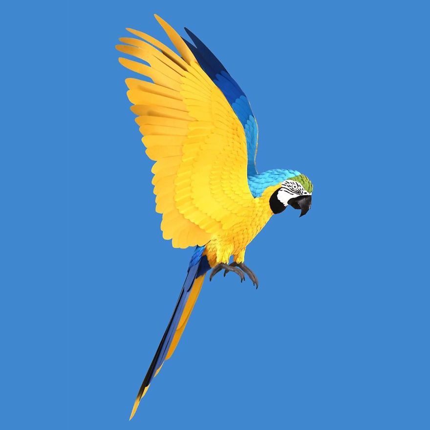 Colombian Artist Makes Unbelievable Paper Birds