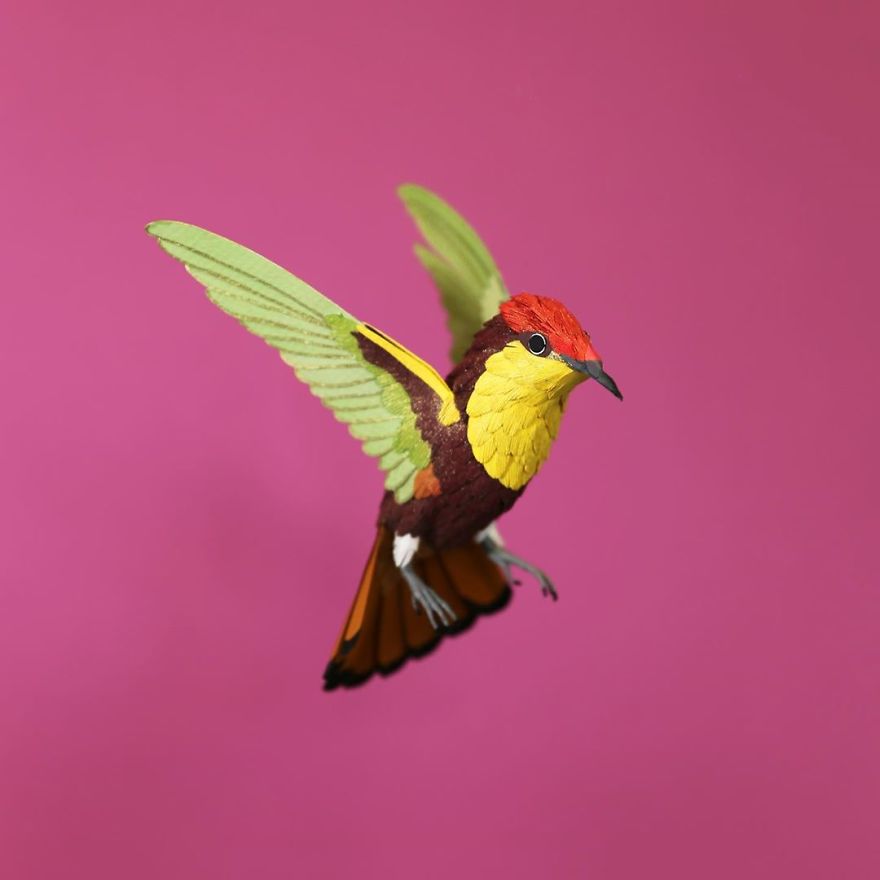 Colombian Artist Makes Unbelievable Paper Birds