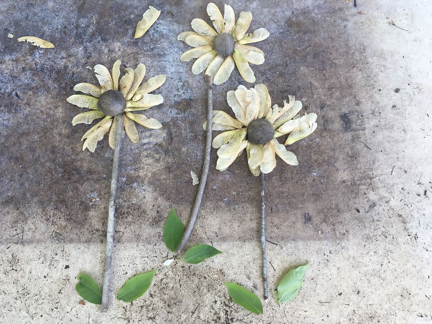 I Made These Art Pieces Out Of Art From My Backyard (Add Your Own!)