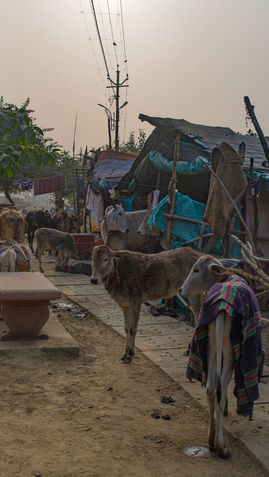 I Photographed The People Of Rural India And Captured Images Of Their Everyday Lives