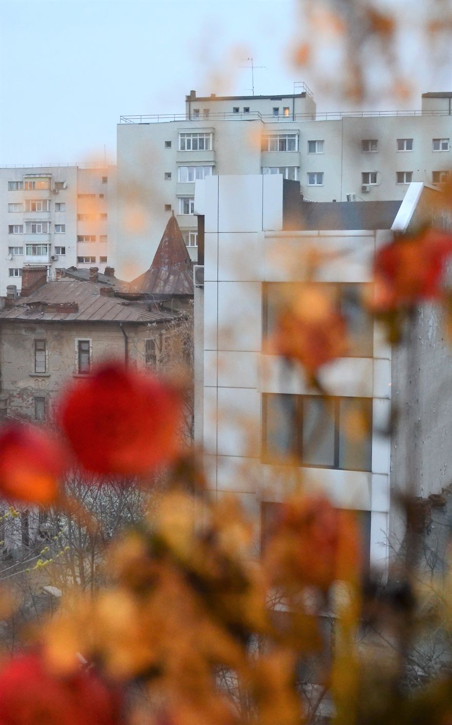 My Camera Is My Perfect Partner In Crime While Staying At Home. My Camera Is My Perfect Partner In Crime While Staying At Home.