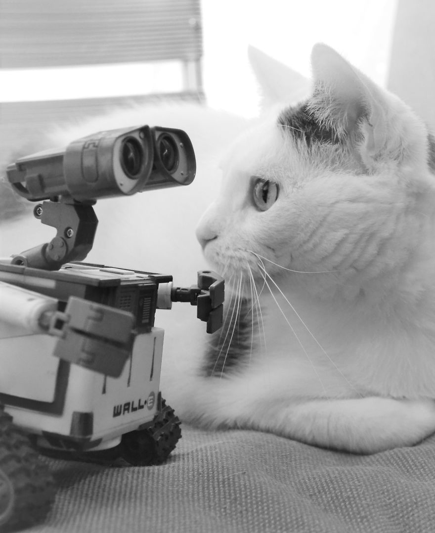 My Camera Is My Perfect Partner In Crime While Staying At Home. My Camera Is My Perfect Partner In Crime While Staying At Home.