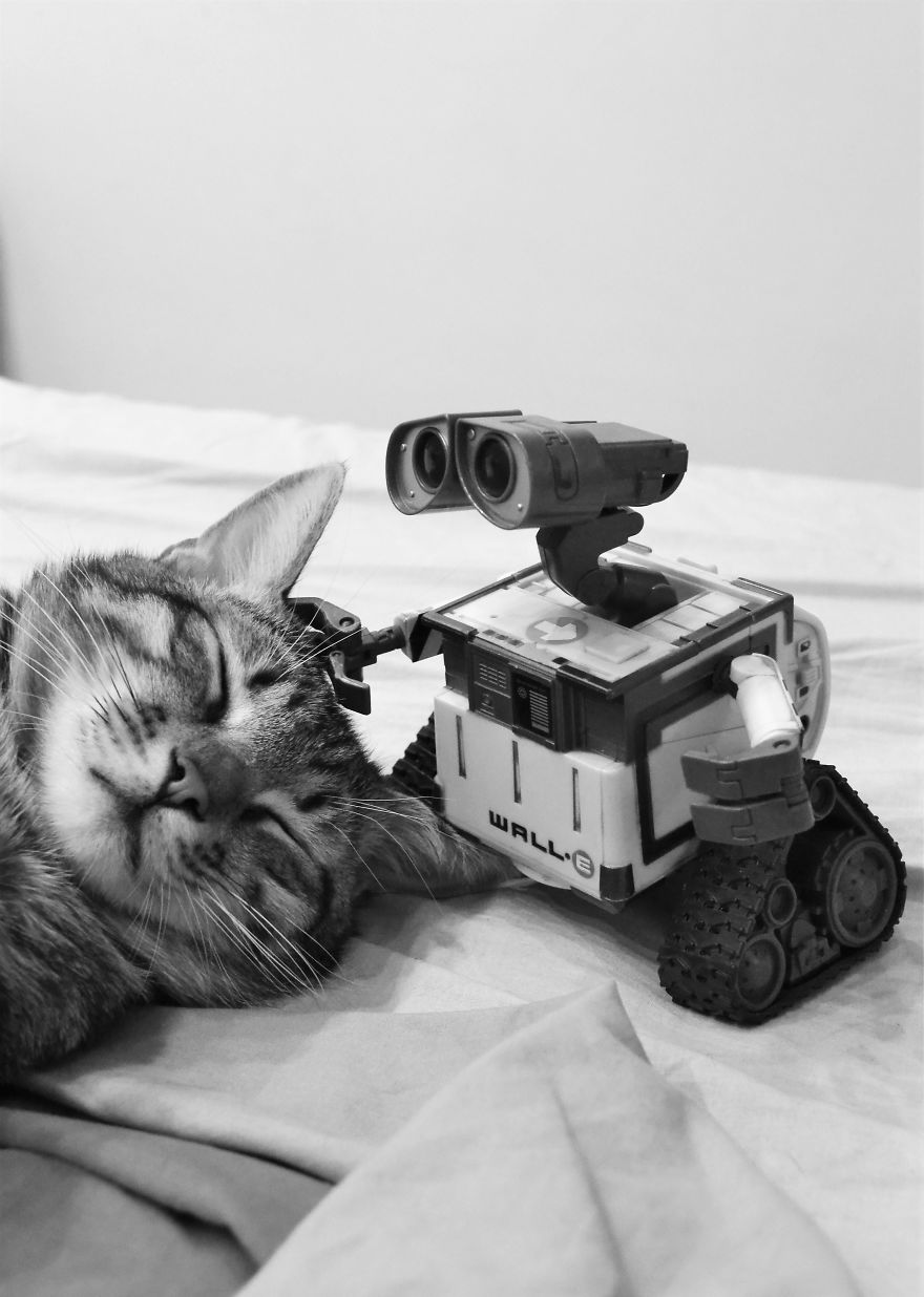 My Camera Is My Perfect Partner In Crime While Staying At Home. My Camera Is My Perfect Partner In Crime While Staying At Home.