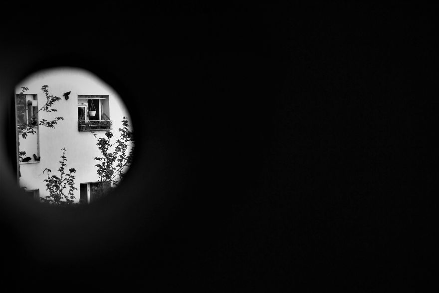 My Camera Is My Perfect Partner In Crime While Staying At Home. My Camera Is My Perfect Partner In Crime While Staying At Home.